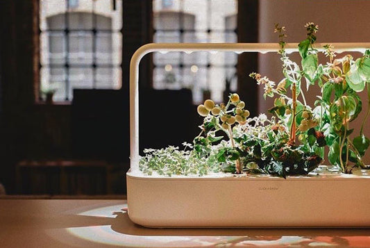 Mennyit fogyaszt a Smart Garden?