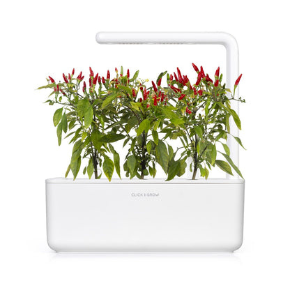 piri-piri-piripiri-chili-paprika-smart-garden-click-grow