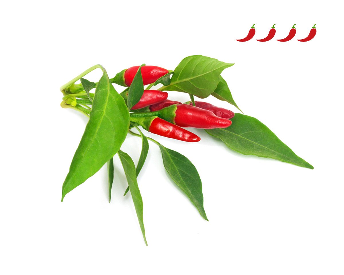 piri-piri-piripiri-chili-paprika-smart-garden-click-grow-utántöltő-növénykapszula