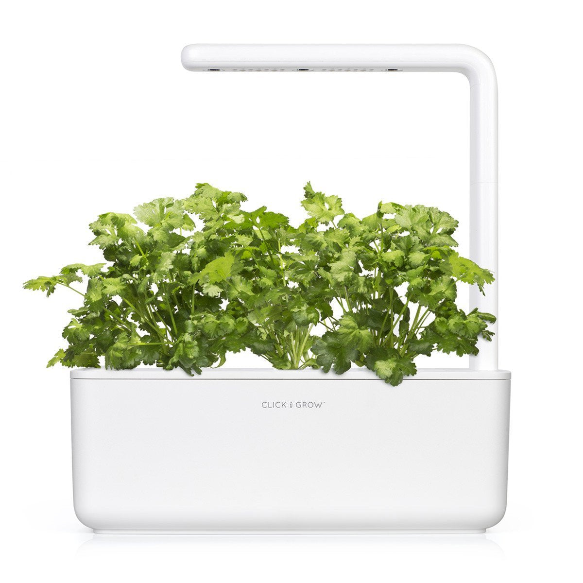 smart-garden-click-grow-növénykapszula-utántöltő-koriander