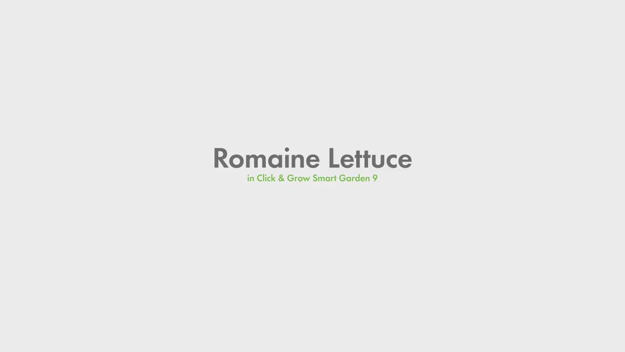 római-saláta-romai-salata-smart-garden-click-grow-utántöltő-növénykapszula