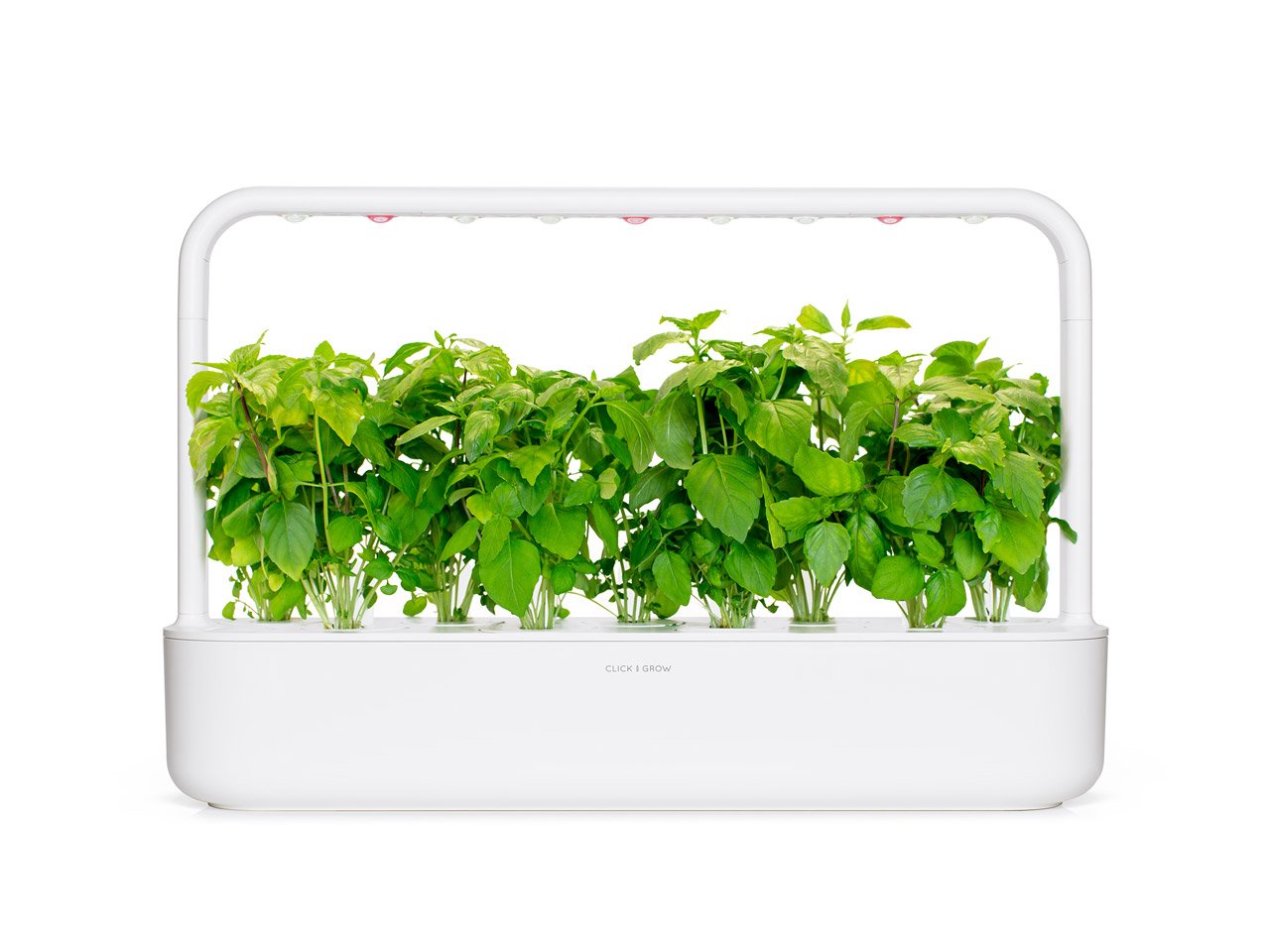 smart-garden-click-grow-növénykapszula-utántöltő-fahéj-illatú-bazsalikom