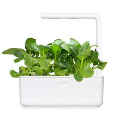 pak-choi-bordáskel-smart-garden-click-grow-növénykapszula-utántöltő