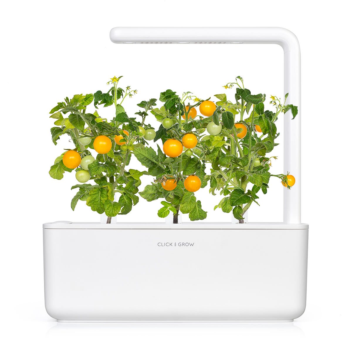 sárga-koktélparadicsom-smart-garden-click-grow-utántöltő-növénykapszula